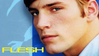 Flesh (1968) [Gay Themed Movie]