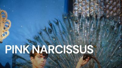 Pink Narcissus (1971) [Gay Themed Movie]