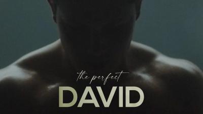 The Perfect David (2021) [Gay Themed Movie]