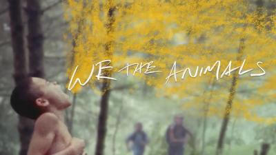 We the Animals (2018) [Gay Themed Movie]