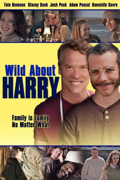 Wild About Harry (American Primitive) (2009) [Gay Themed Movie]