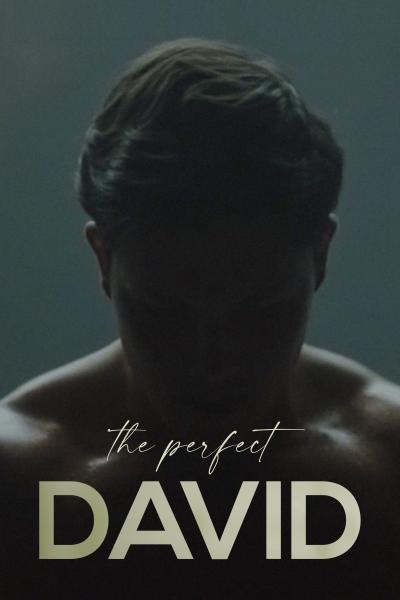The Perfect David (2021) [Gay Themed Movie]