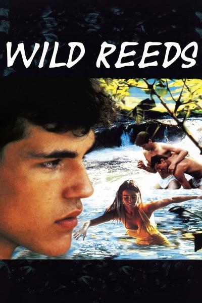 Wild Reeds (1994) [Gay Themed Movie]
